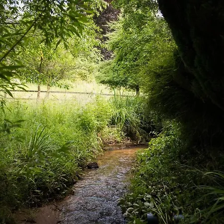 Le Retour Aux Sources * Le Mesnil-sur-Blangy